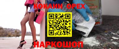 мяу мяу мука Ачхой-Мартан