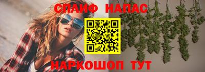 мяу мяу мука Ачхой-Мартан