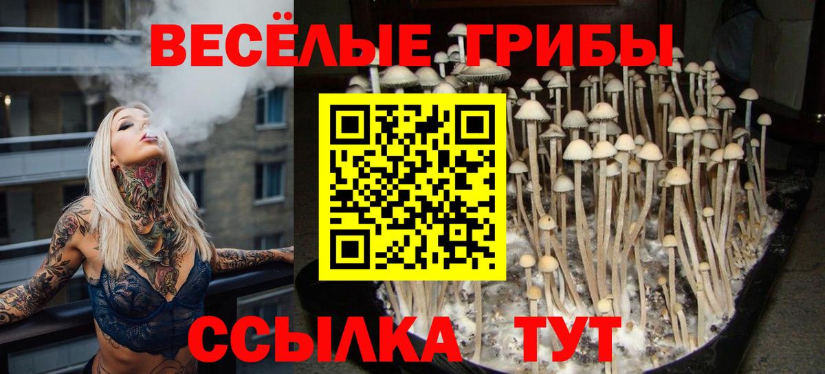 Галлюциногенные грибы мицелий  Вход с VPN  Вязники  Галлюциногенные грибы мухоморы 